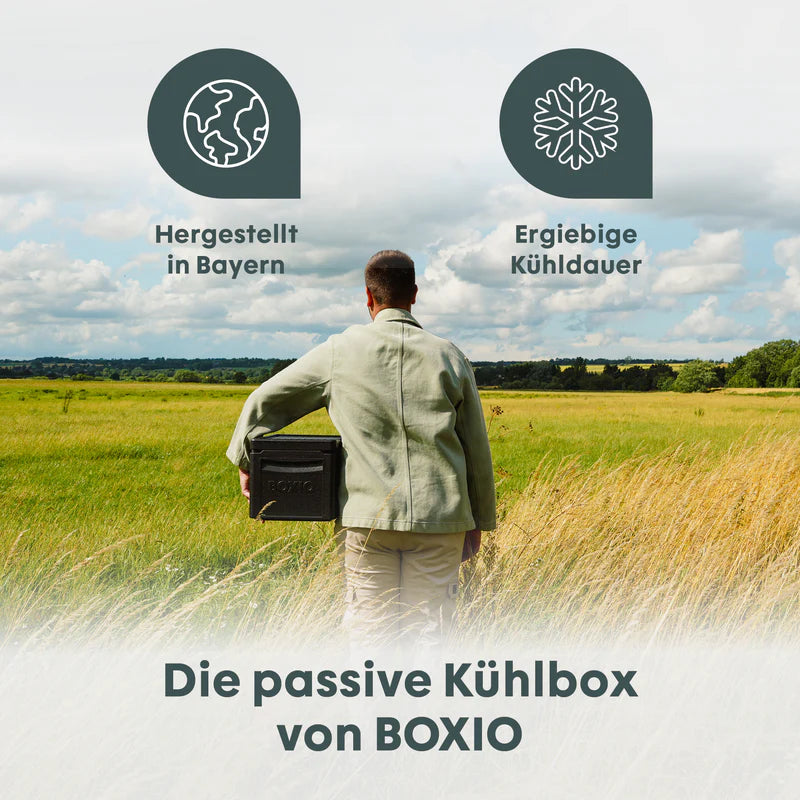 Boxio - Cool - Deine passive Kühlbox für unterwegs