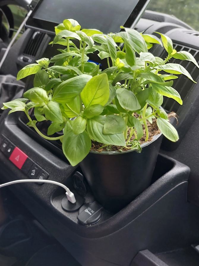 Camperflower Cockpit Gadget