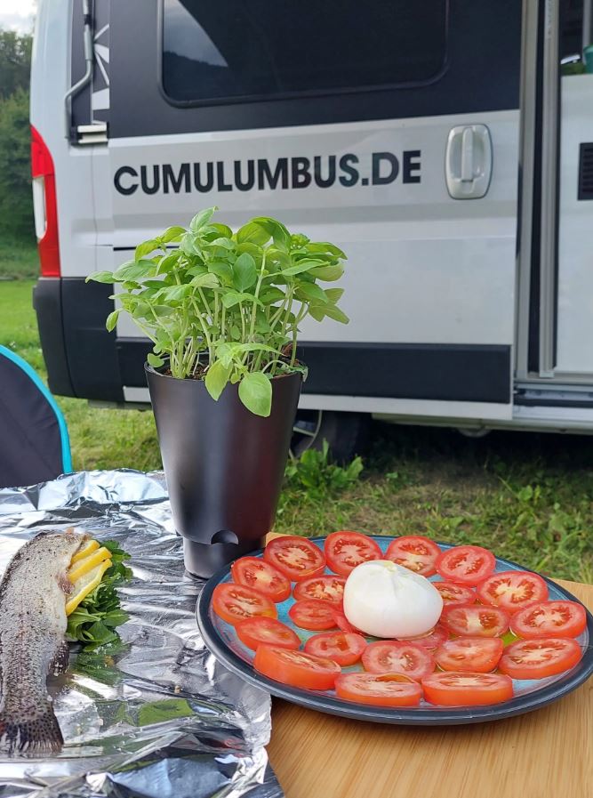 Camperflower Cockpit Gadget