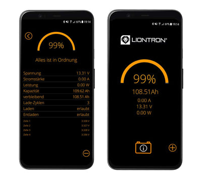 Liontron LiFePO4 - Batterie (LX)